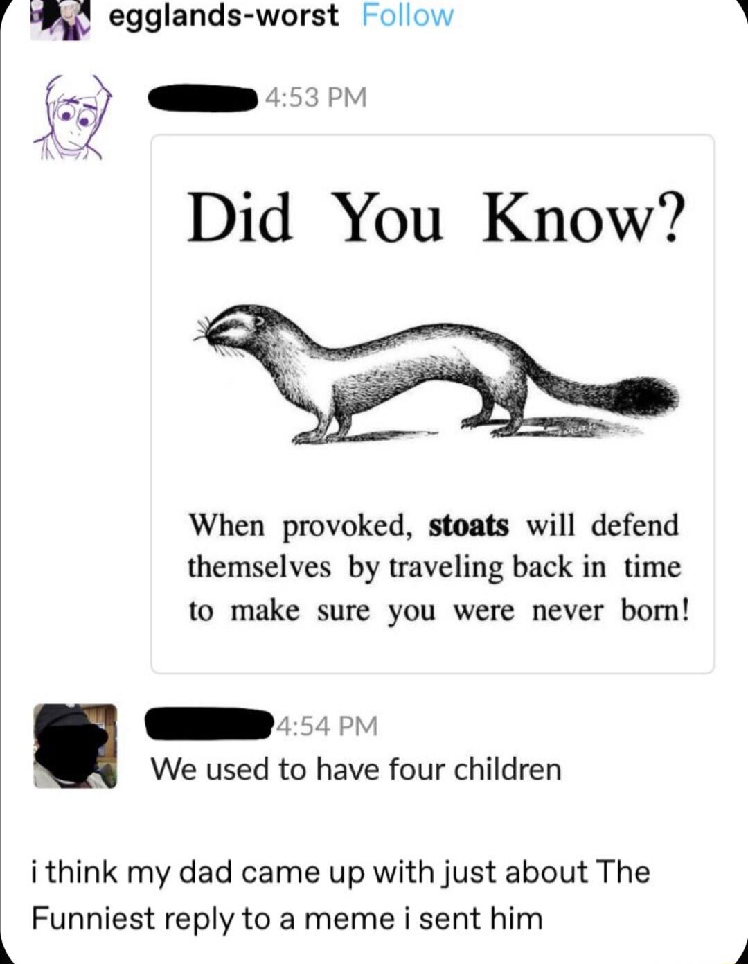 Wy egglands worst Follow o Did You Know When provoked stoats will defend themselves by traveling back in time to make sure you were never bom E We used to have four children ithink my dad came up with just about The Funniest reply to a meme i sent him 9