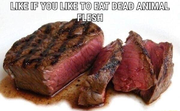 LCE IF YOU LLE U EAT DIEAD ANIVIAL