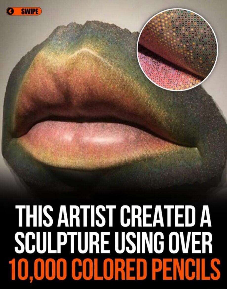 SWIPE THIS ARTIST CREATED A SCULPTURE USING OVER 10,000 COLORED PENCILS