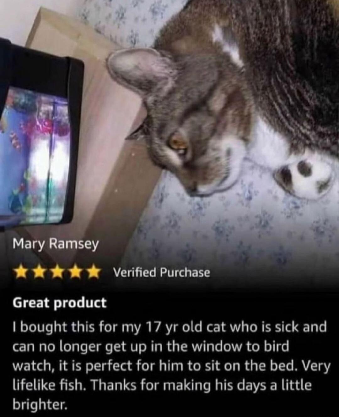 K Verified Purchase Great product bought this for my 17 yr old cat who is sick and can no longer get up in the window to bird watch it is perfect for him to sit on the bed Very lifelike fish Thanks for making his days a little brighter