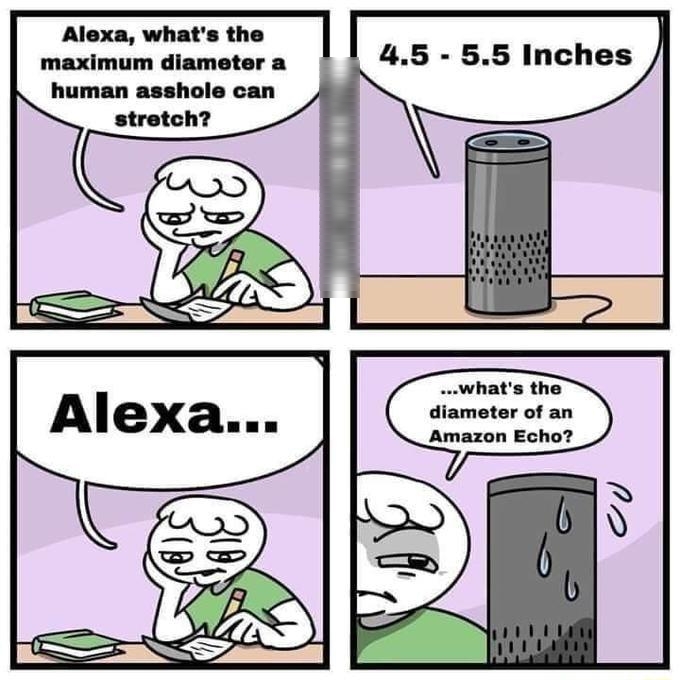 Alexa whats the maximum diameter a human asshole can stretch whats the diameter of an Amazon Echo
