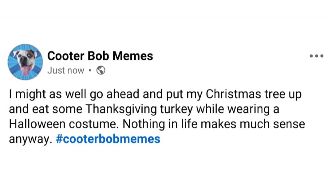 I might as well go ahead and put my Christmas tree up and eat some Thanksgiving turkey while wearing a Halloween costume. Nothing in life makes much sense anyway.