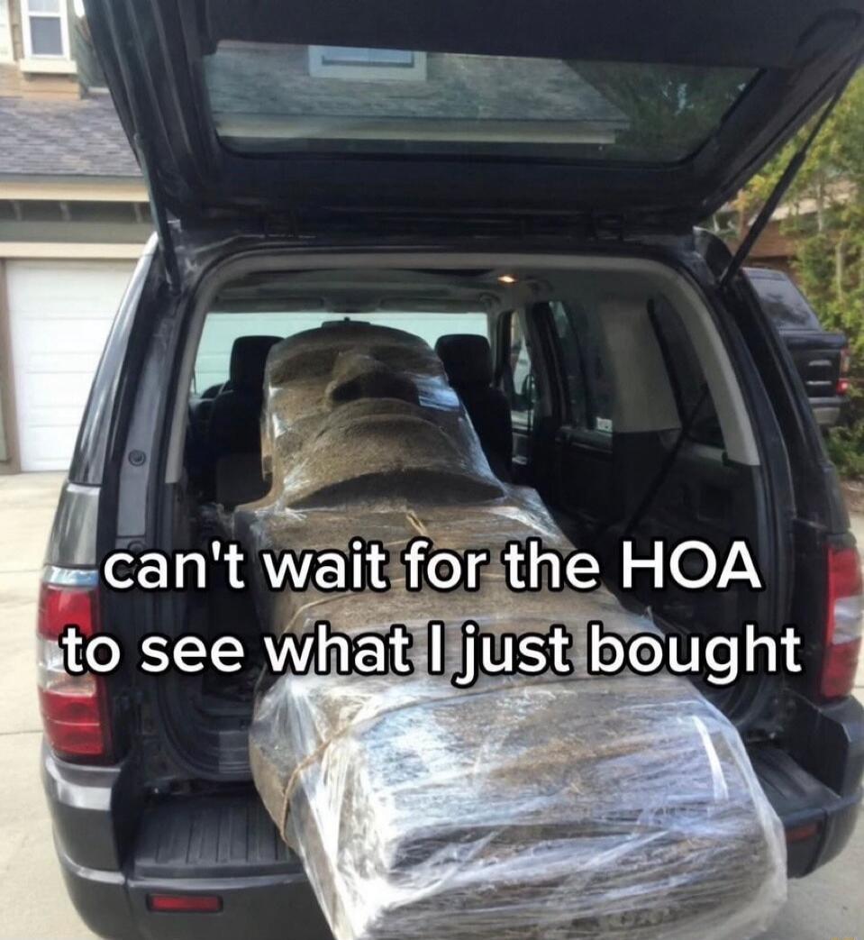 can't wait for the HOA to see what I just bought