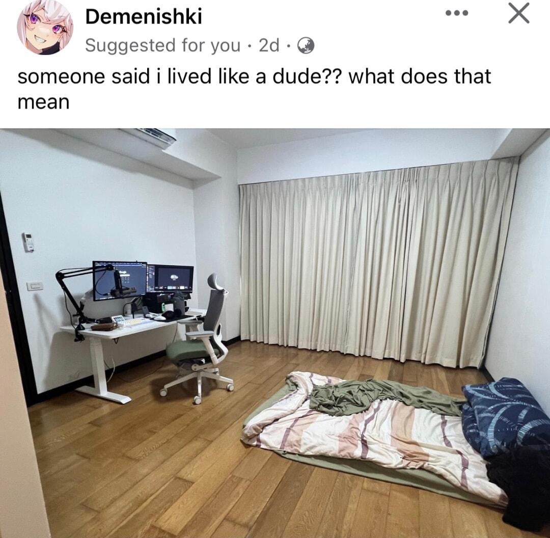Demenishki e X Suggested for you 2d someone said i lived like a dude what does that mean