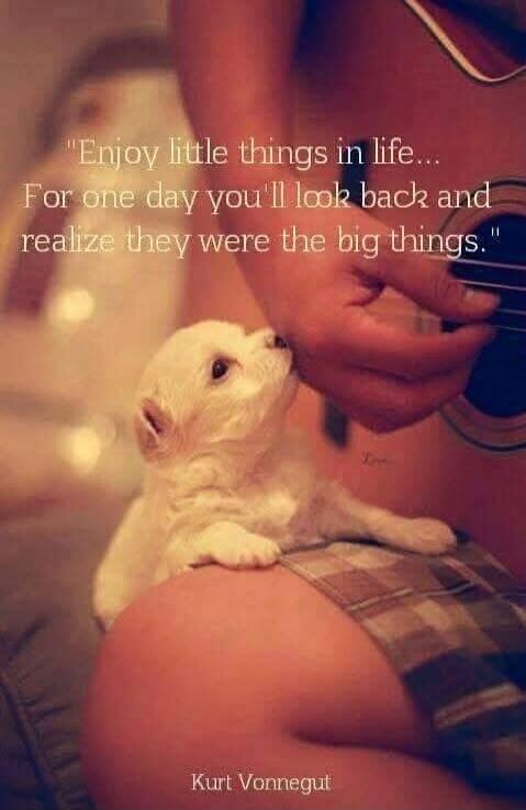 Enjoy little things in life... For one day you'll look back and realize they were the big things. Kurt Vonnegut