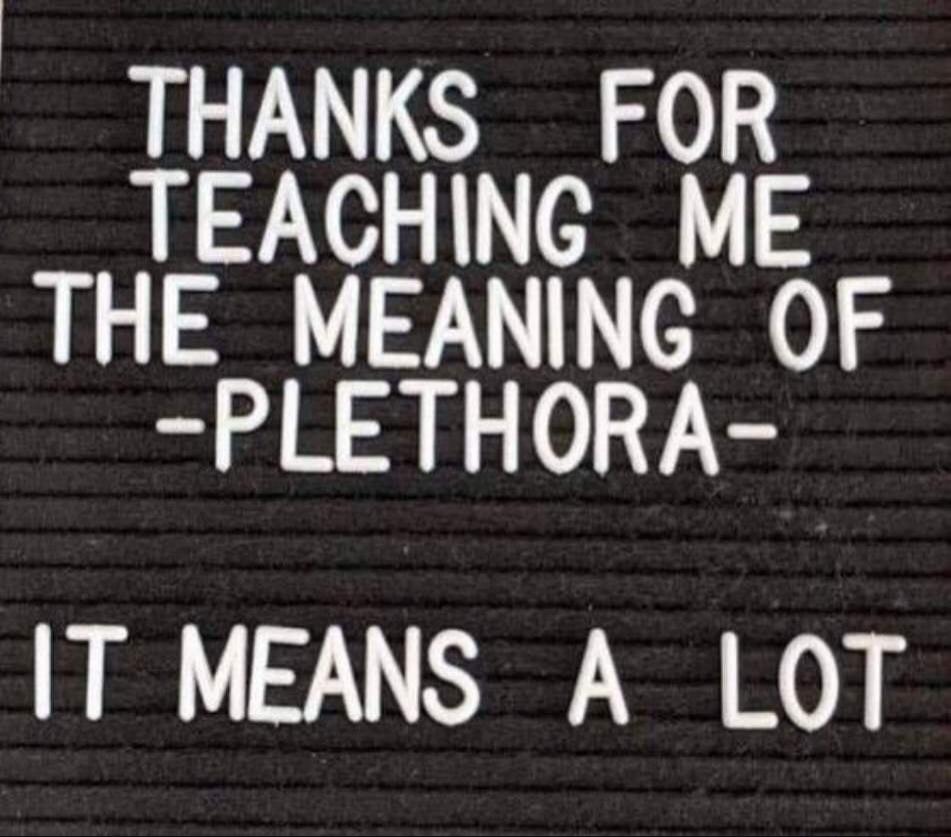 THANKS FOR TEACHING ME THE MEANING OF -PLETHORA- IT MEANS A LOT