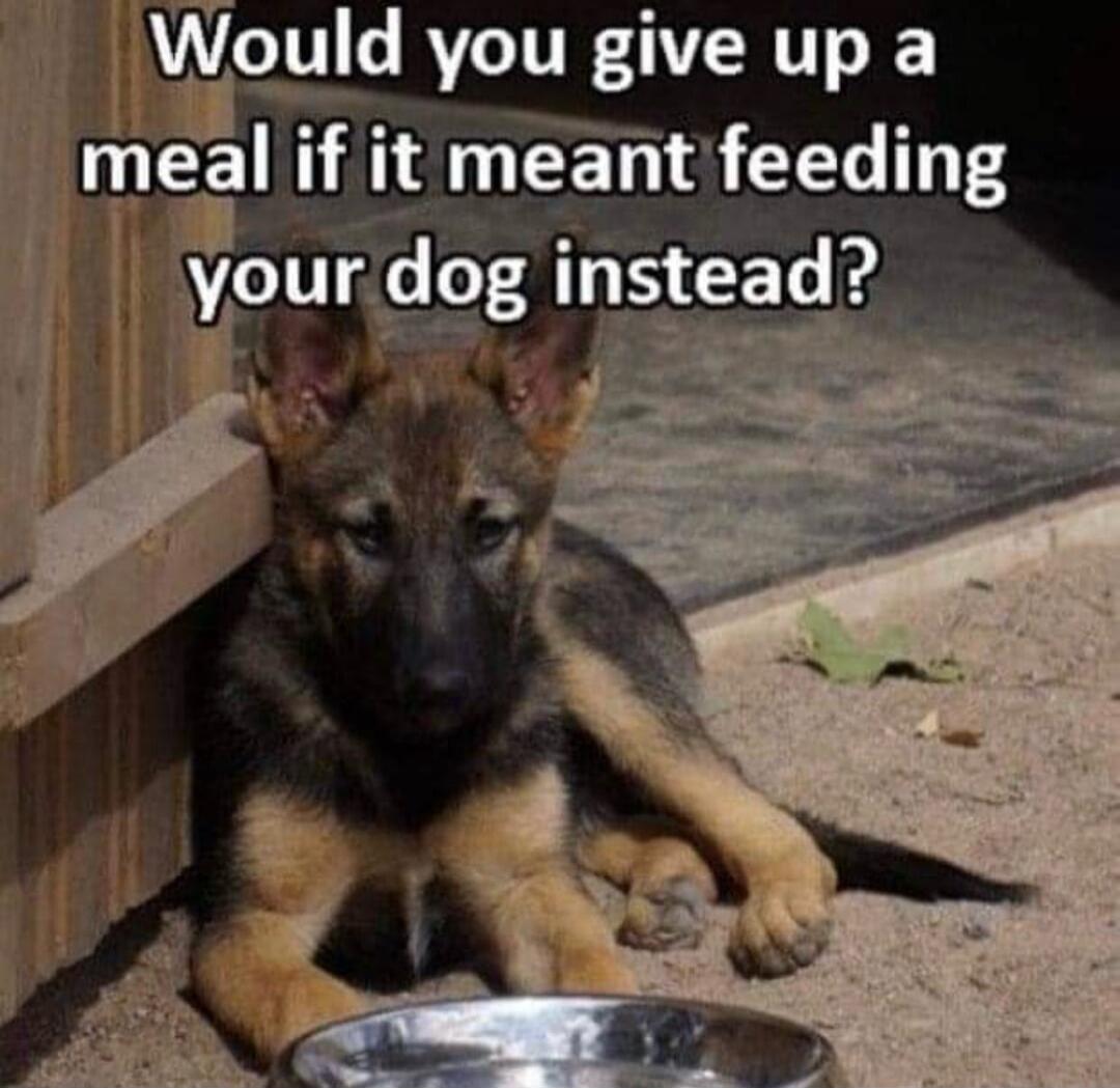 Would you give up a meal if it meant feeding your dog instead?