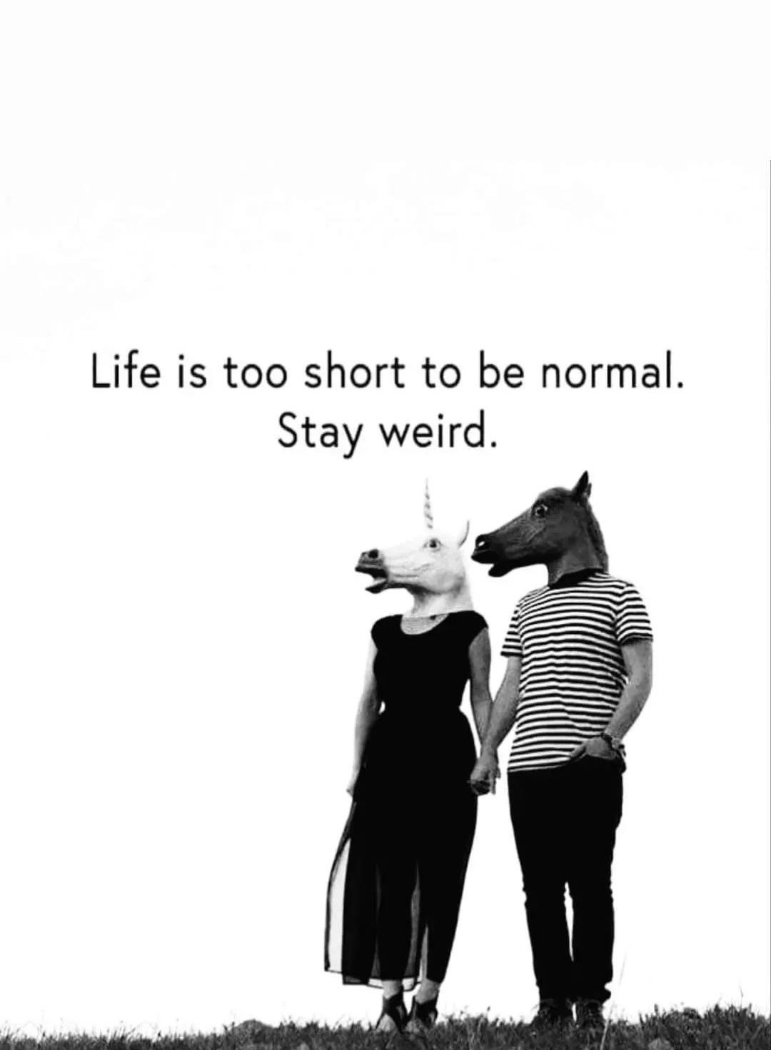 Life is too short to be normal Stay weird