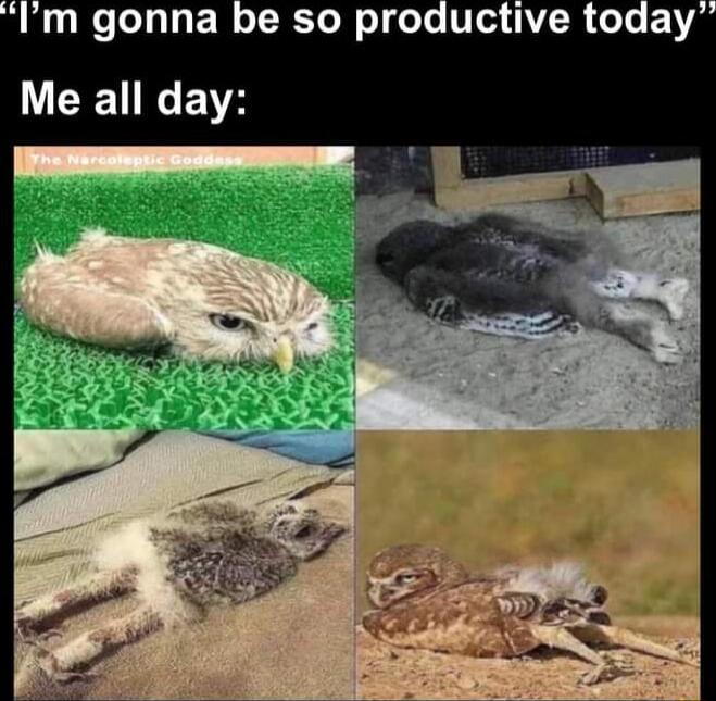 Im gonna be so productive today CENNGEVH