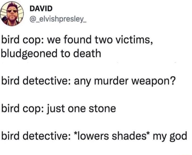 DAVID _elvishpresley_ bird cop we found two victims bludgeoned to death bird detective any murder weapon bird cop just one stone bird detective lowers shades my god