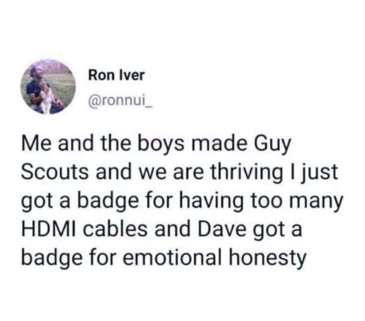 o Ron Iver 4 ronnui_ Me and the boys made Guy Scouts and we are thriving just got a badge for having too many HDMI cables and Dave got a badge for emotional honesty