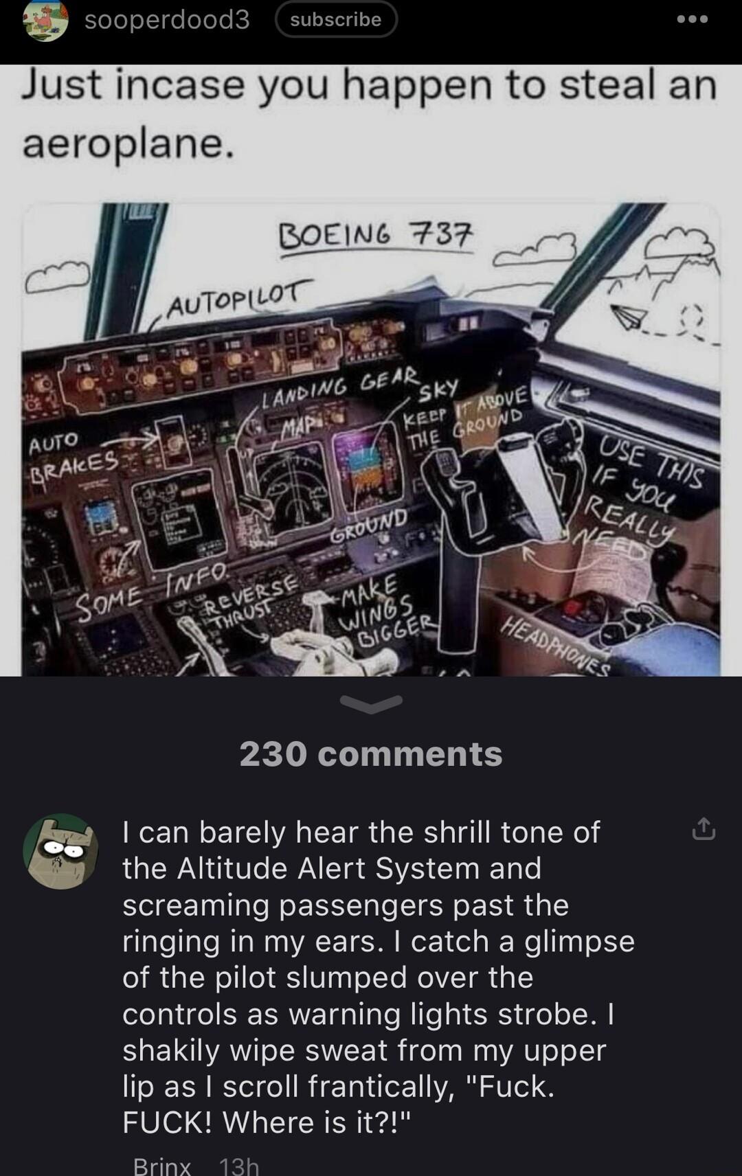 ubscribe Just incase you happen to steal an aeroplane 230 comments can barely hear the shrill tone of the Altitude Alert System and screaming passengers past the ringing in my ears catch a glimpse RGNS VT Yo RO R 1Y controls as warning lights strobe shakily wipe sweat from my upper lip as scroll frantically Fuck FUCK Where is it Briny