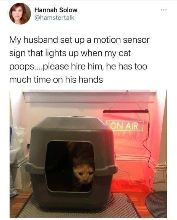 Hannah Solow hamstertalk My husband set up a motion sensor sign that lights up when my cat poopsplease hire him he has too much time on his hands