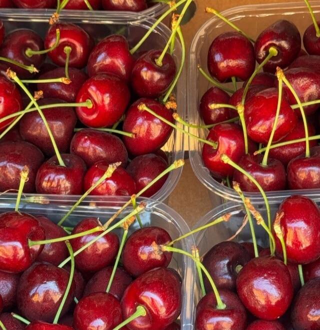 Red cherries in clear plastic containers.