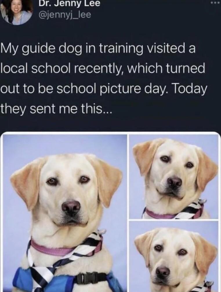 ur Jenny Lee Djennyj_lee YYXele Yo oleRIaRiE Ialale RS e k ole1 KlelaTolel N TolTal YA al el R V plTe out to be school picture day Today they sent me this