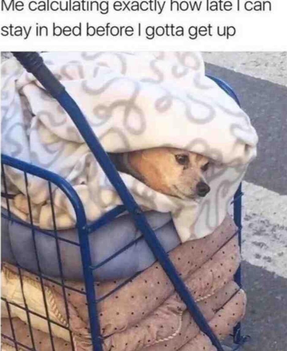 vVie CaiCulaling exactly now iate can stay in bed before gotta get up