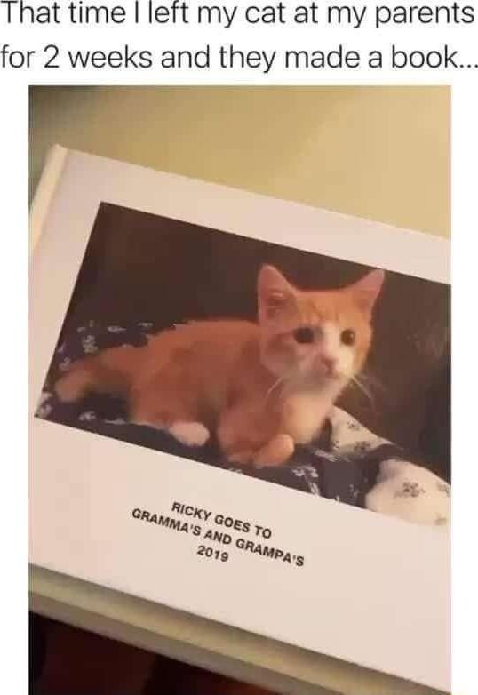 That time left my cat at my parents for 2 weeks and they made a book