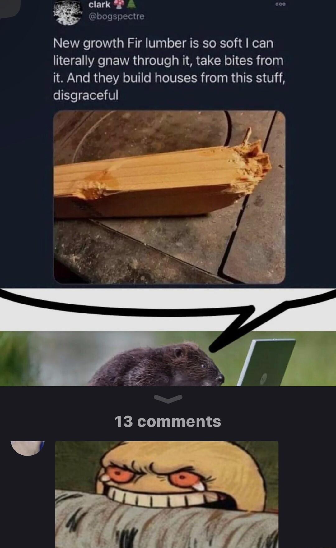 g clark New growth Fir lumber is so soft can literally gnaw through it take bites from L CRGEL VTN VR T RGTEES T EElE T 13 comments