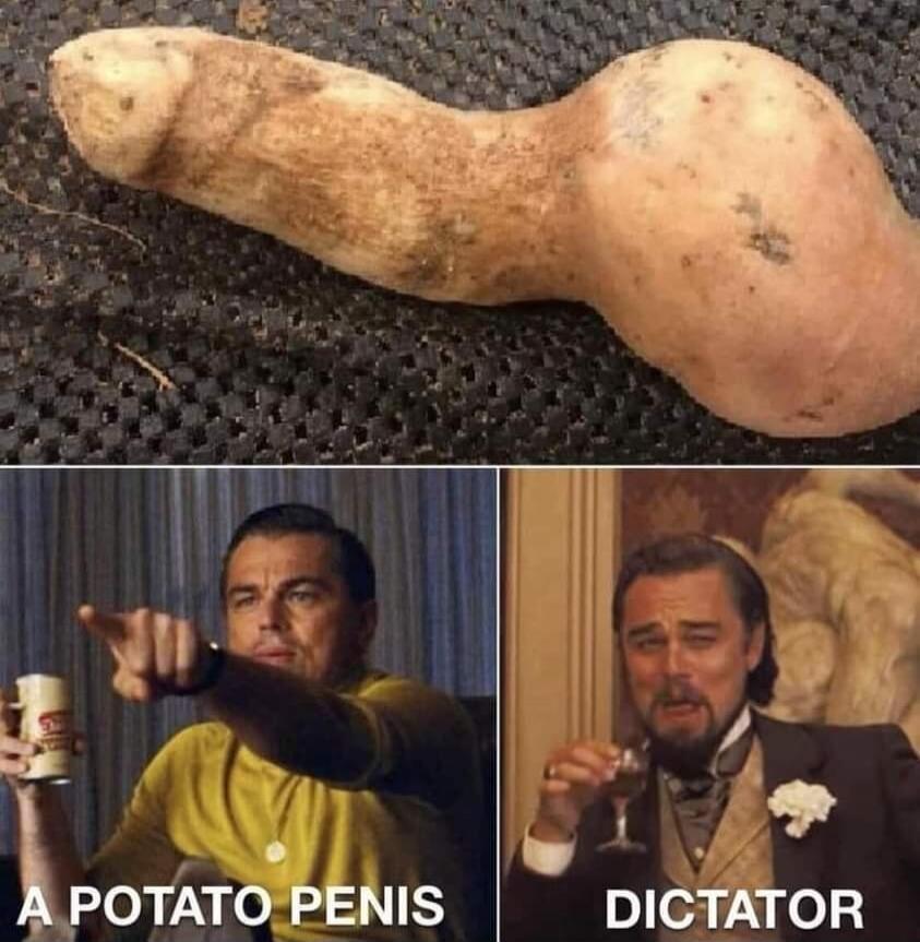 A POTATO PENIS
DICTATOR