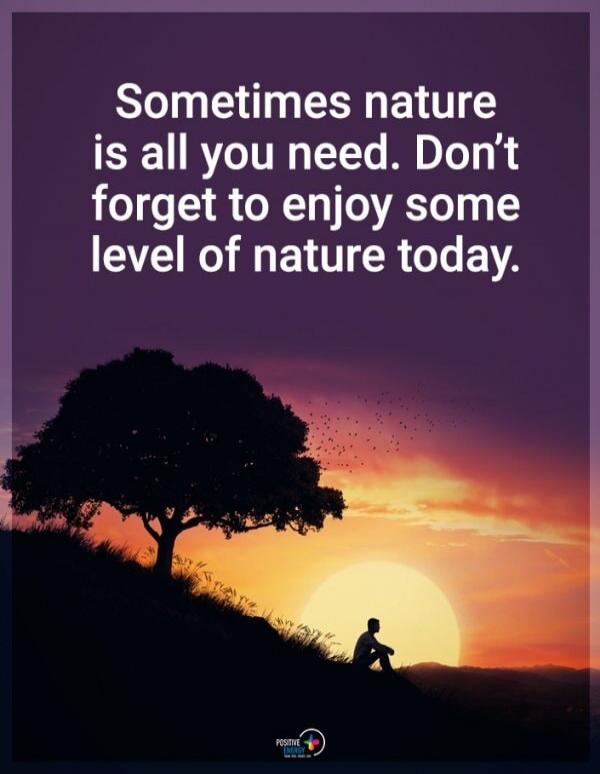 Sometimes nature is all you need. Don't forget to enjoy some level of nature today.