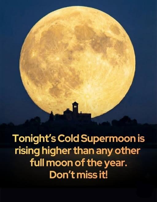 Tonight's Cold Supermoon is rising higher than any other full moon of the year. Don't miss it!