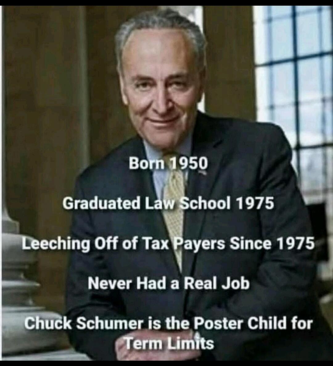 Born 1950
Graduated Law School 1975
Leeching Off of Tax Payers Since 1975
Never Had a Real Job
Chuck Schumer is the Poster Child for Term Limits
