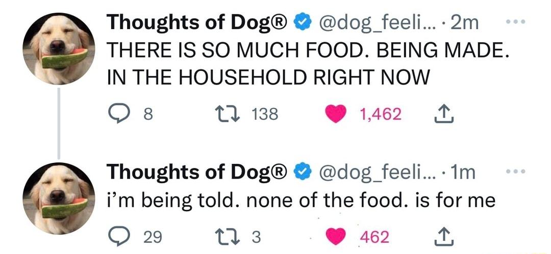 Thoughts of Dog dog feeli 2m THERE IS SO MUCH FOOD BEING MADE IN THE HOUSEHOLD RIGHT NOW Os s 1462 1 Thoughts of Dog dog_feeli 1m m being told none of the food is for me O 29 us 462
