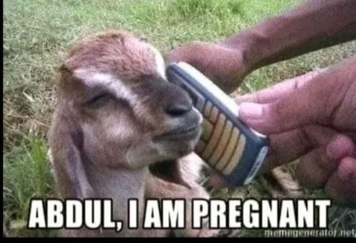 ABDUL, I AM PREGNANT