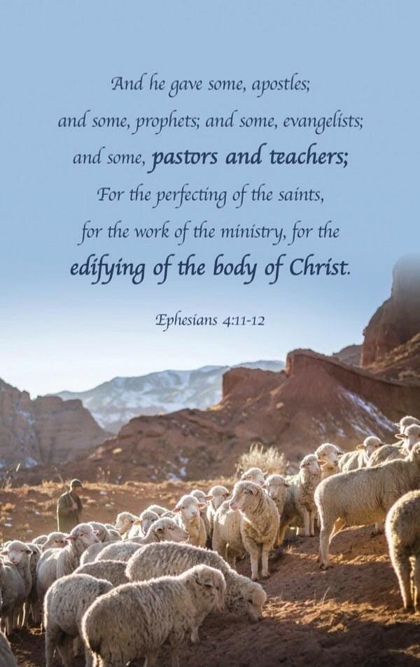 And he gave some, apostles; and some, prophets; and some, evangelists; and some, pastors and teachers; For the perfecting of the saints, for the work of the ministry, for the edifying of the body of Christ. Ephesians 4:11-12