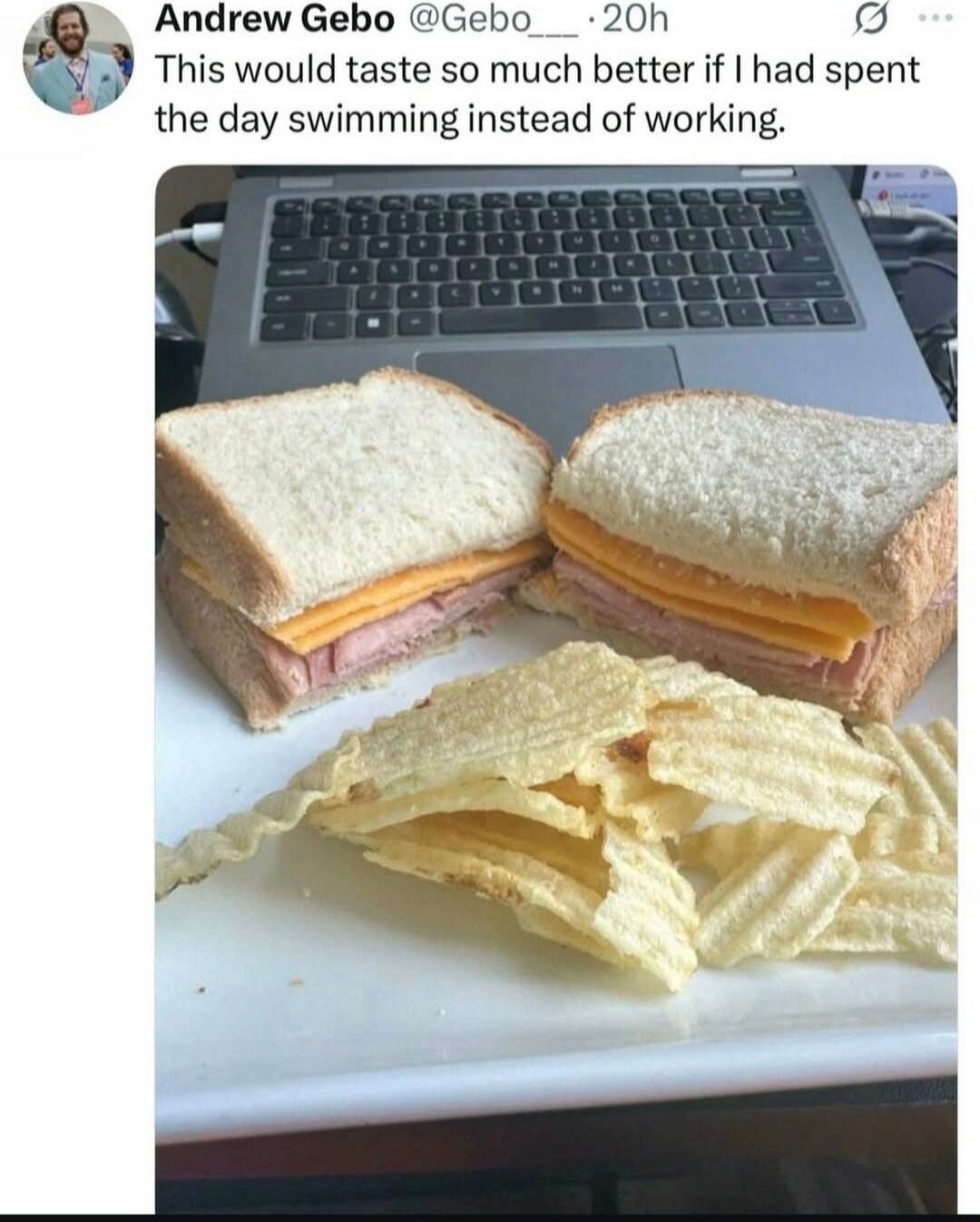 This would taste so much better if I had spent the day swimming instead of working.

[Image shows a sandwich with ham and cheese and a side of potato chips in front of a laptop.]