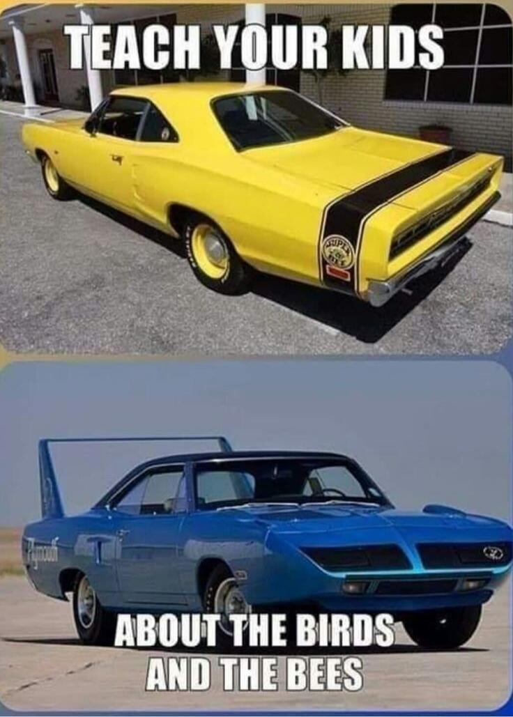TEACH YOUR KIDS ABOUT THE BIRDS AND THE BEES