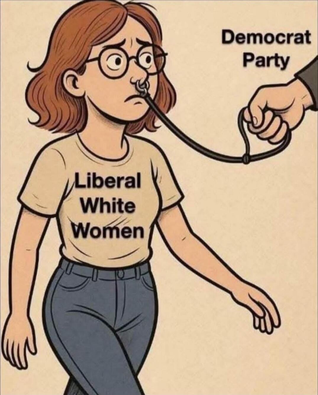 Liberal White Women
Democrat Party