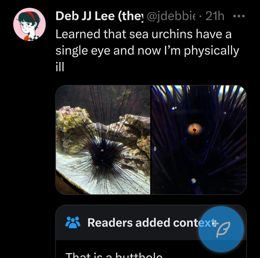 Deb JJ Lee they jdebbic 21h EEETGET R GETEEE NV I BN EIVEE single eye and now Im physically ill 725 Readers added conI T PR TP T P