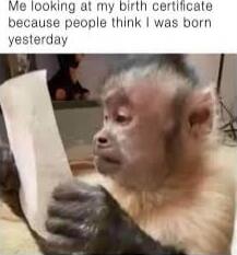Me looking at my birth certificate because people think I was born yesterday