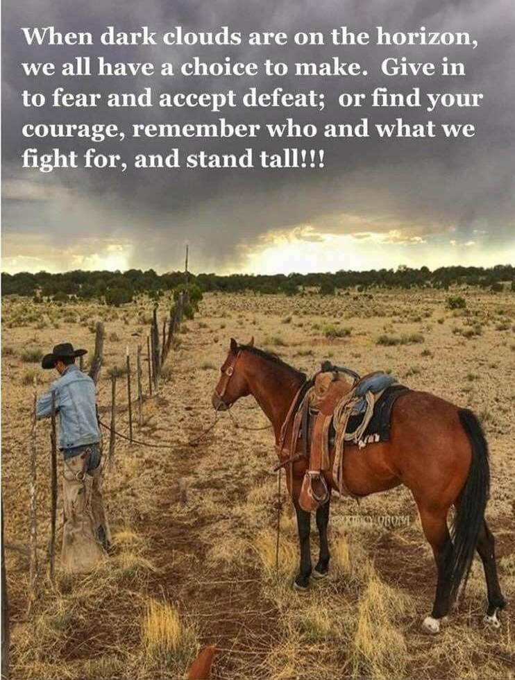 When dark clouds are on the horizon, we all have a choice to make. Give in to fear and accept defeat; or find your courage, remember who and what we fight for, and stand tall!!!