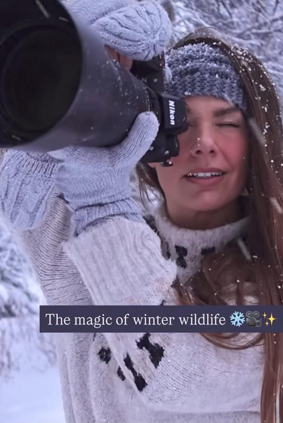 The magic of winter wildlife ❄️🕊✨