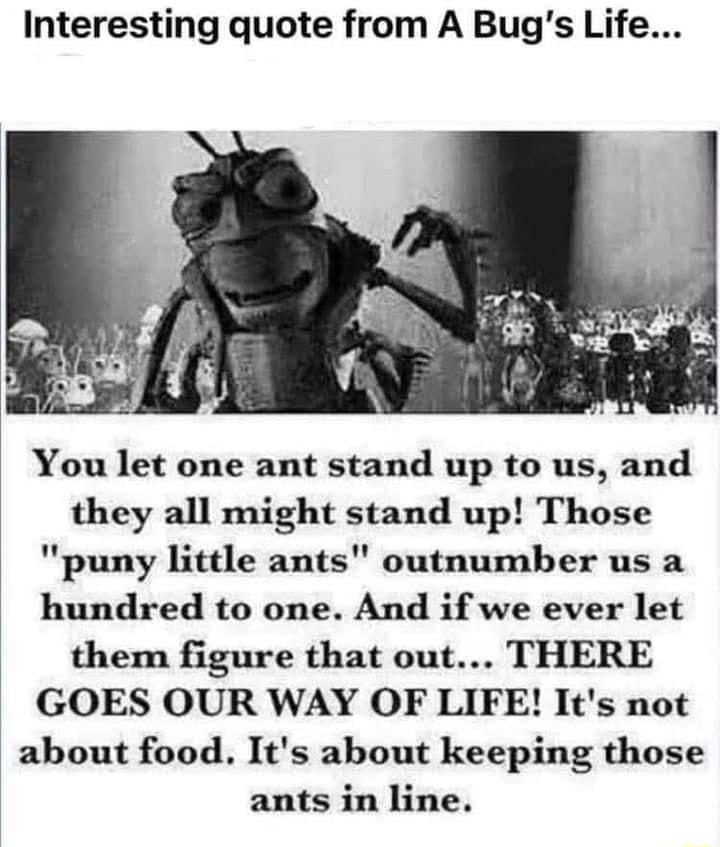 Interesting quote from A Bugs Life You let one ant stand up to us and they all might stand up Those puny little ants outnumber us a hundred to one And if we ever let them figure that out THERE GOES OUR WAY OF LIFE Its not about food Its about keeping those ants in line