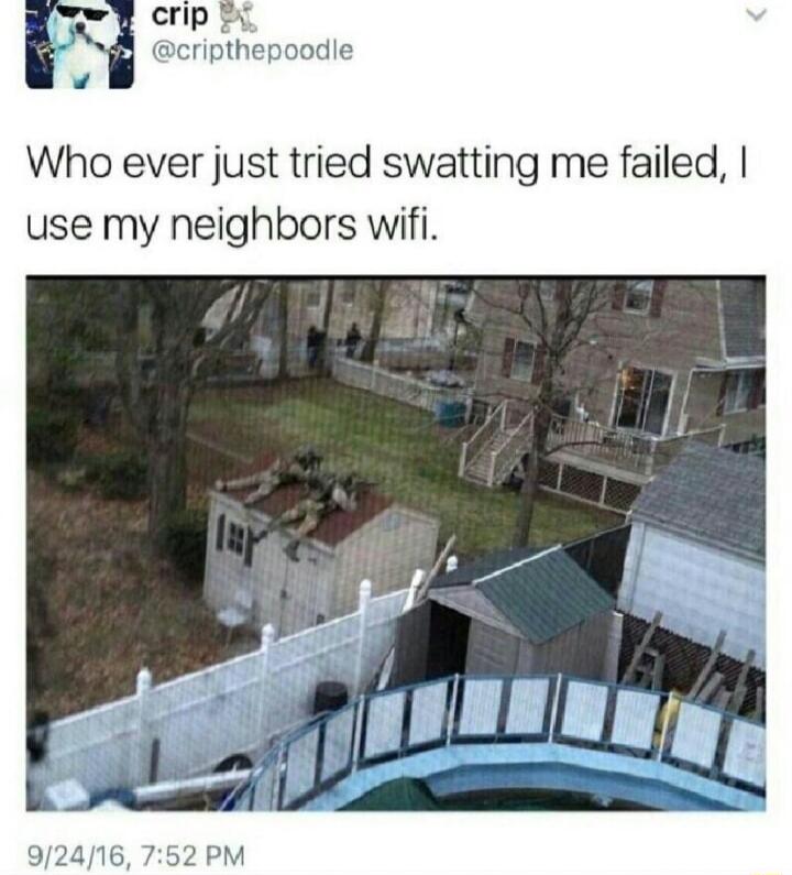 TP e 8 cripthepoodie Who ever just tried swatting me failed use my neighbors wifi