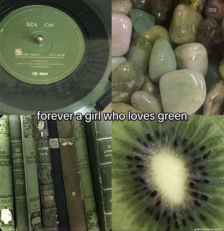 SZA Ctrl SIDE FOUR 33 1/3 RPM TDE RCA forever a girl who loves green