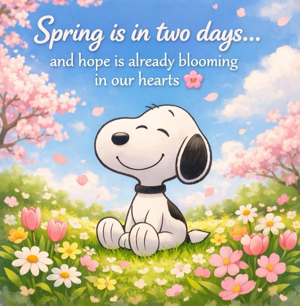 Spring is in two days... and hope is already blooming in our hearts