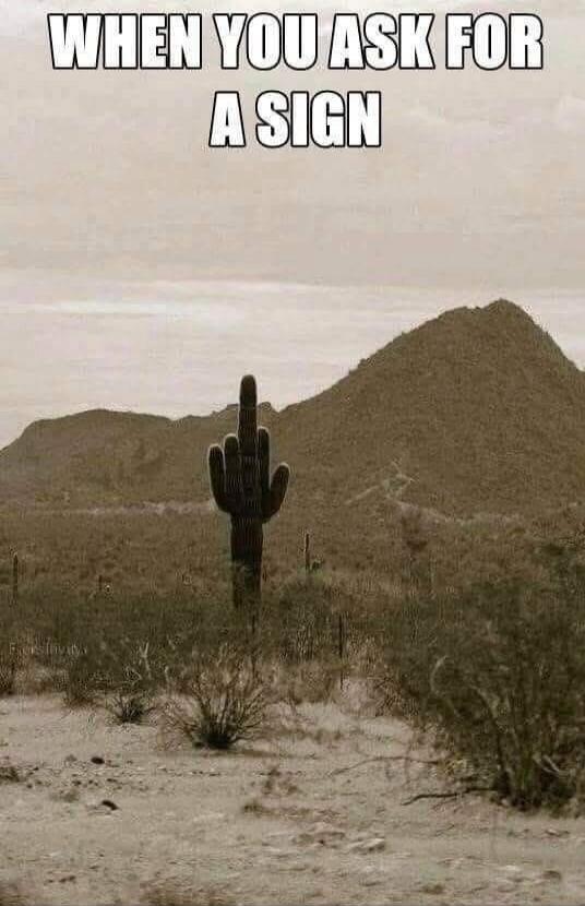 WHEN YOU ASK FOR A SIGN