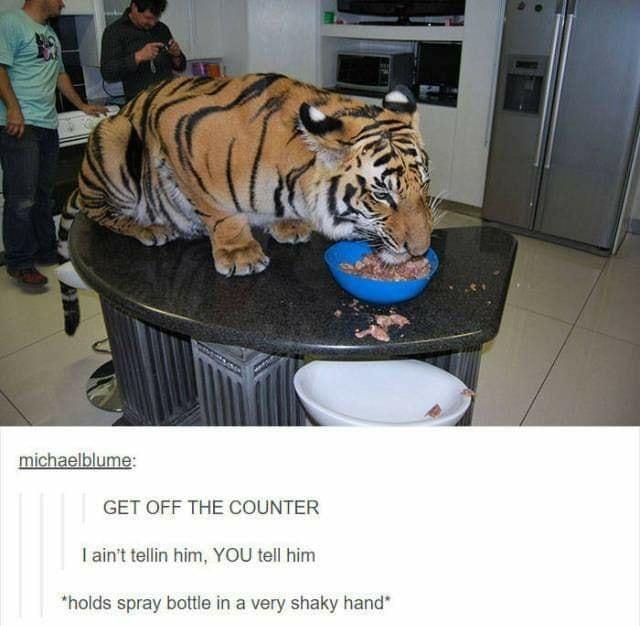 michaelblume OFF THE COUNTER I aint tellin him YOU tell him holds spray bottle in a very shaky hand