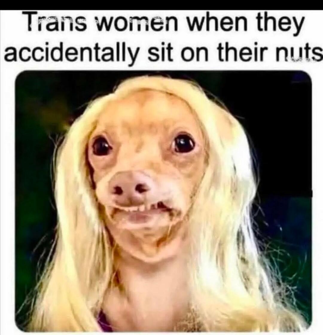 Trans women when they accidentally sit on their nuts