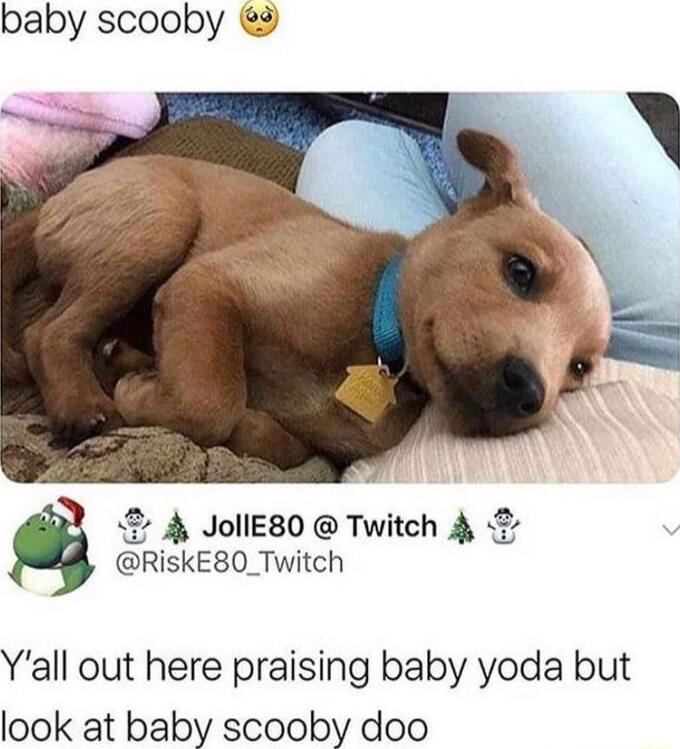 baby scooby 9 4 JollESO Twitch 4 RiskEBO_Twitch Yall out here praising baby yoda but look at baby scooby doo