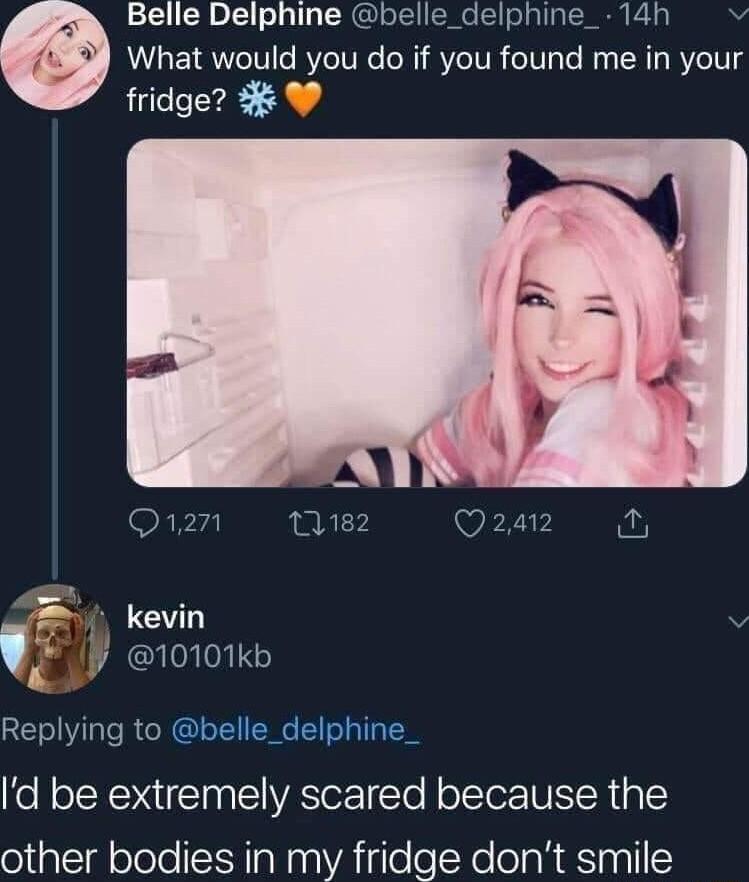 Belle Delphine belle_delphine_ 14h What would you do if you found me in your fridge Qizn e Q242 S Kevin U e Replying to belle_delphine_ Id be extremely scared because the other bodies in my fridge dont smile
