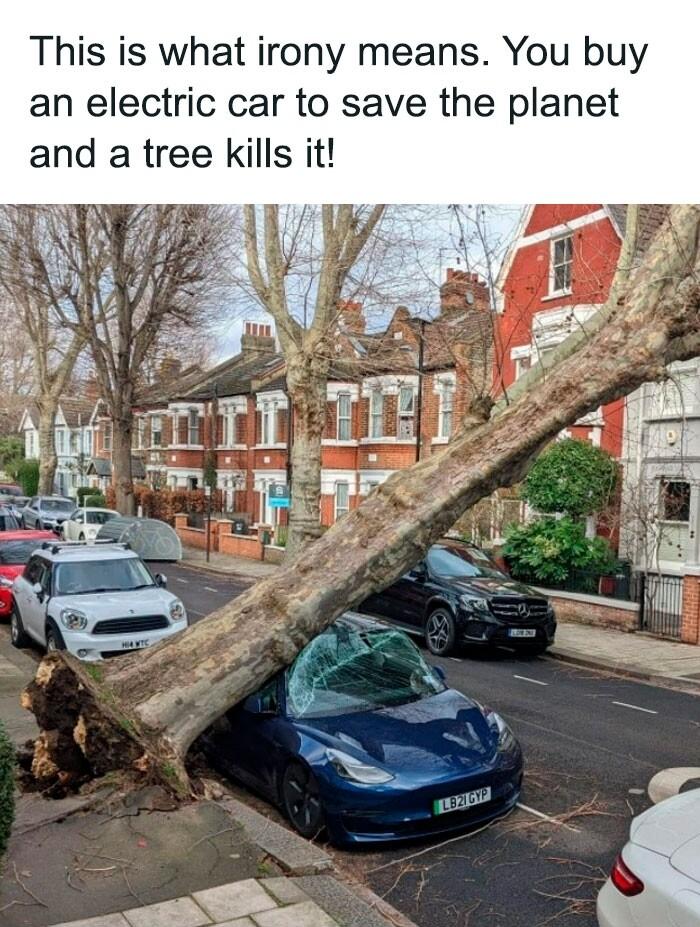 This is what irony means You buy an electric car to save the planet and a tree Kills it