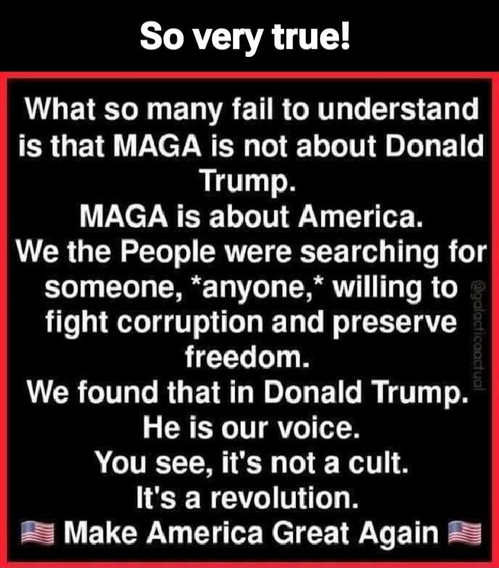 So very true! What so many fail to understand is that MAGA is not about Donald Trump. MAGA is about America. We the People were searching for someone, *anyone,* willing to fight corruption and preserve freedom. We found that in Donald Trump. He is our voice. You see, it's not a cult. It's a revolution. Make America Great Again