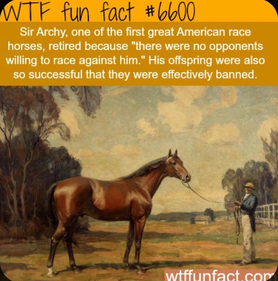 WTF fun fact 6600 A