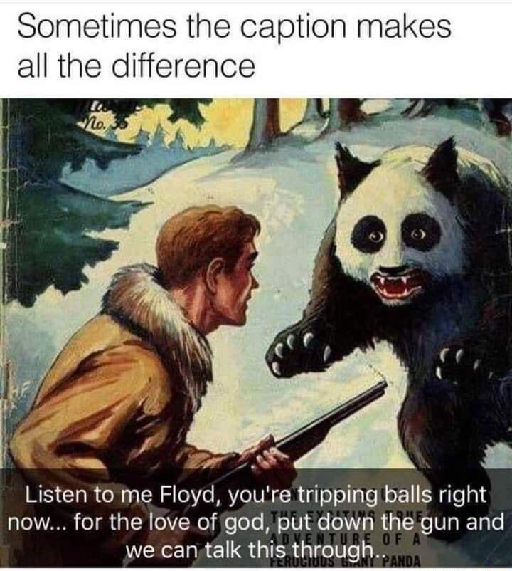 Sometimes the caption makes all the difference WS IR ol o T o Ys MAVo TN r i oo pTa Wl oF Ff gTe o T o 3 B 01V7Wel e ToTe Ml ol ool Vs R 3 1K V alTyle we can talk this through