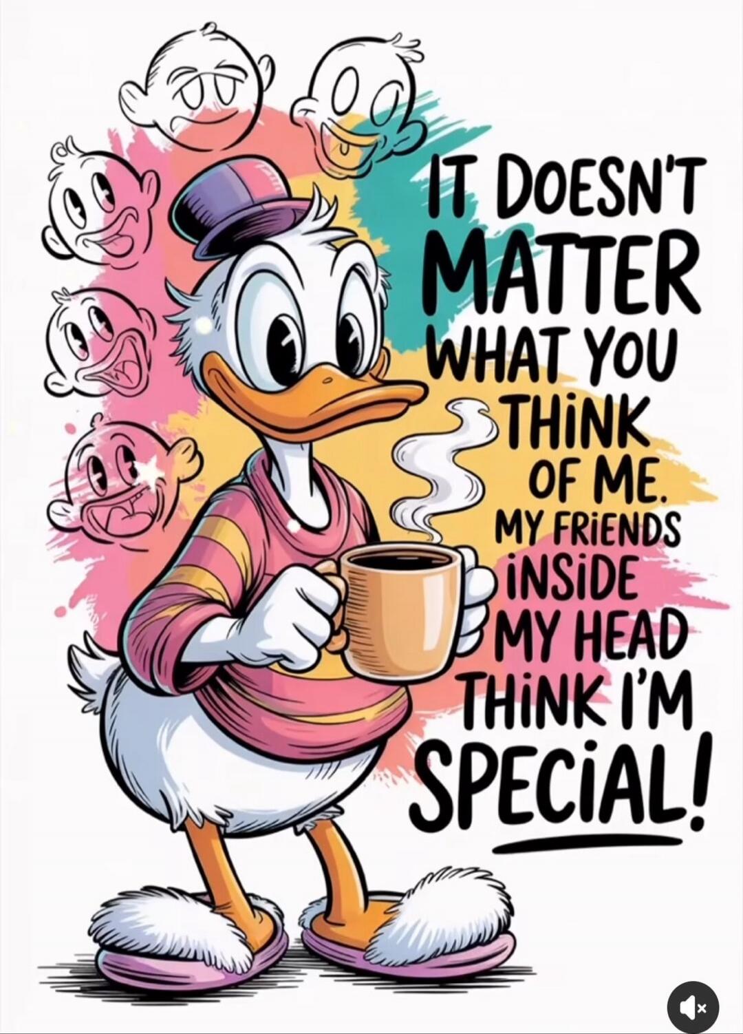 IT DOESN'T MATTER WHAT YOU THINK OF ME. MY FRIENDS INSIDE MY HEAD THINK I'M SPECIAL!